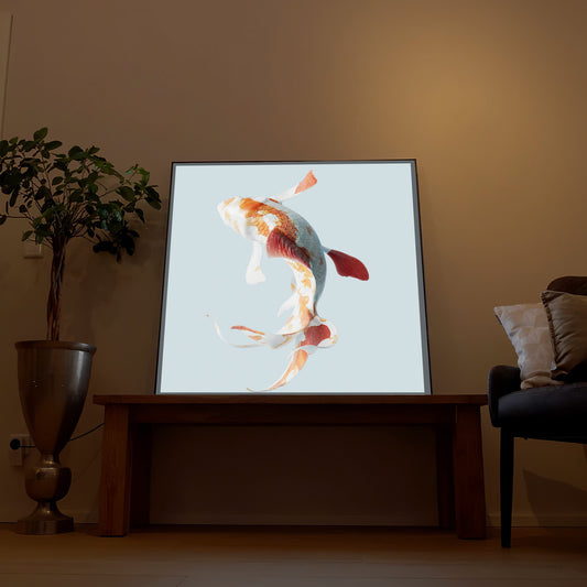 Fisch im Wasser