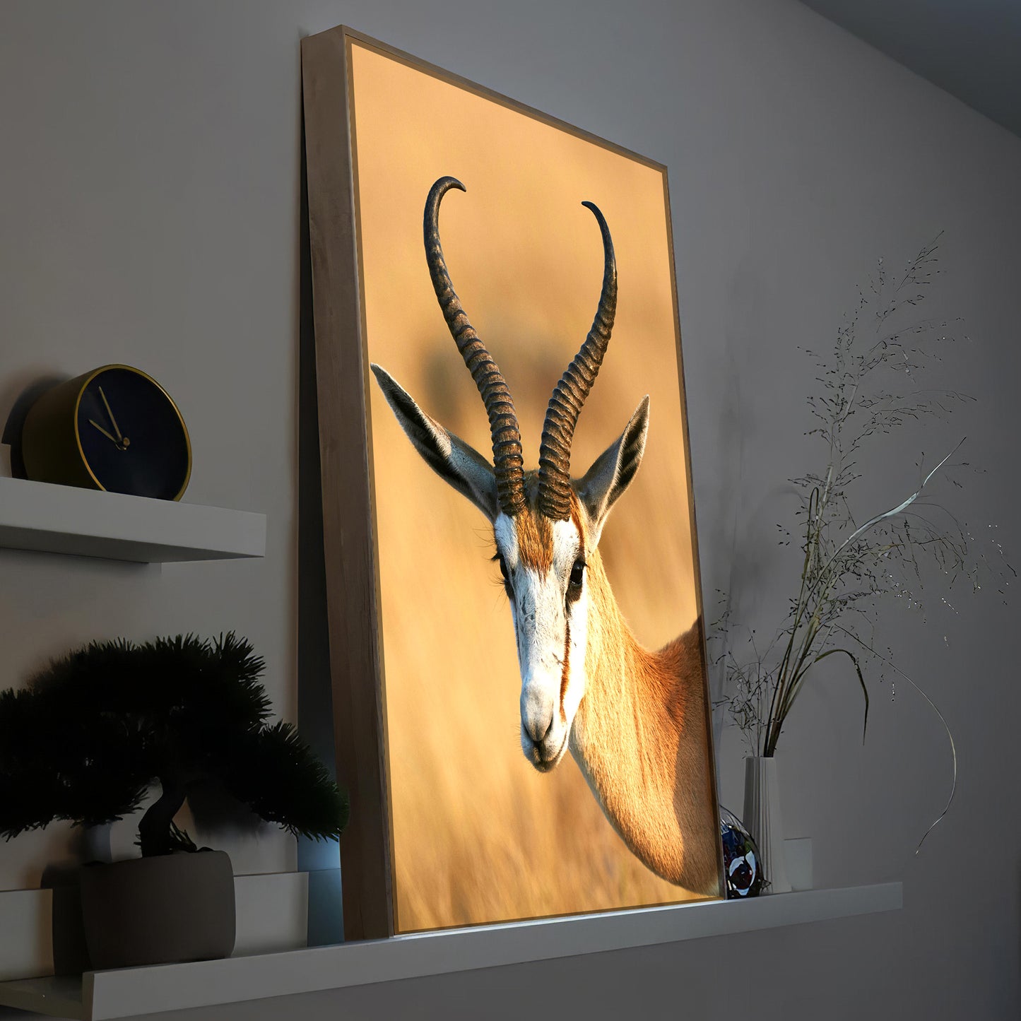 Springbock in Namibia