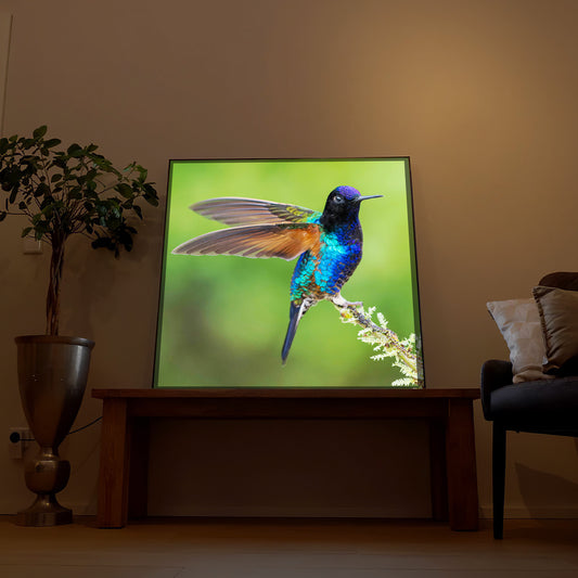 Bunter Vogel auf Ast