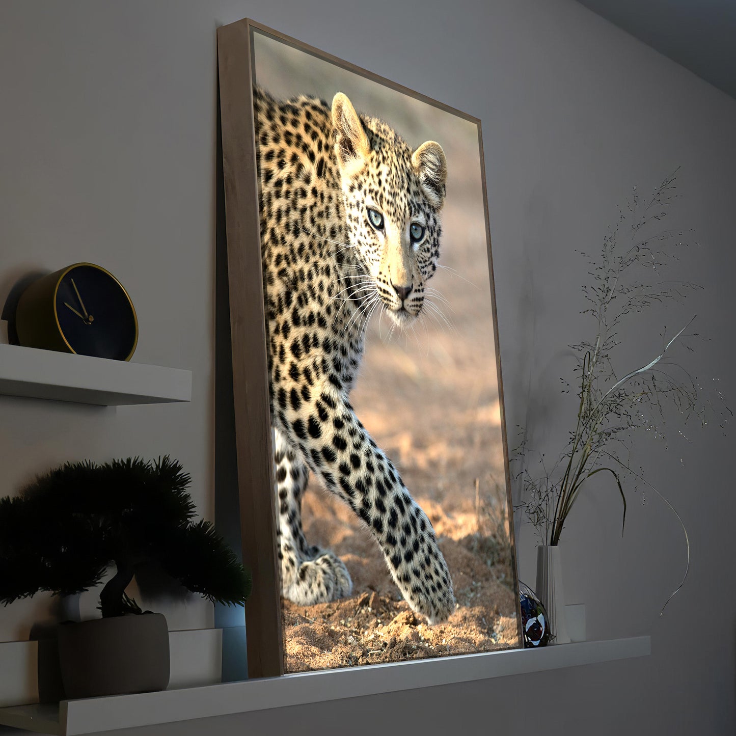 junger Leopard