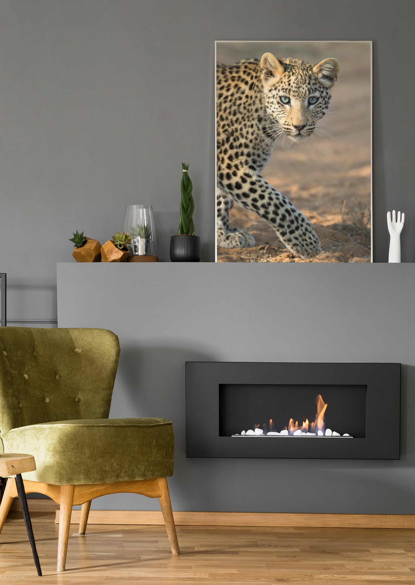junger Leopard - Poster oder Leinwand