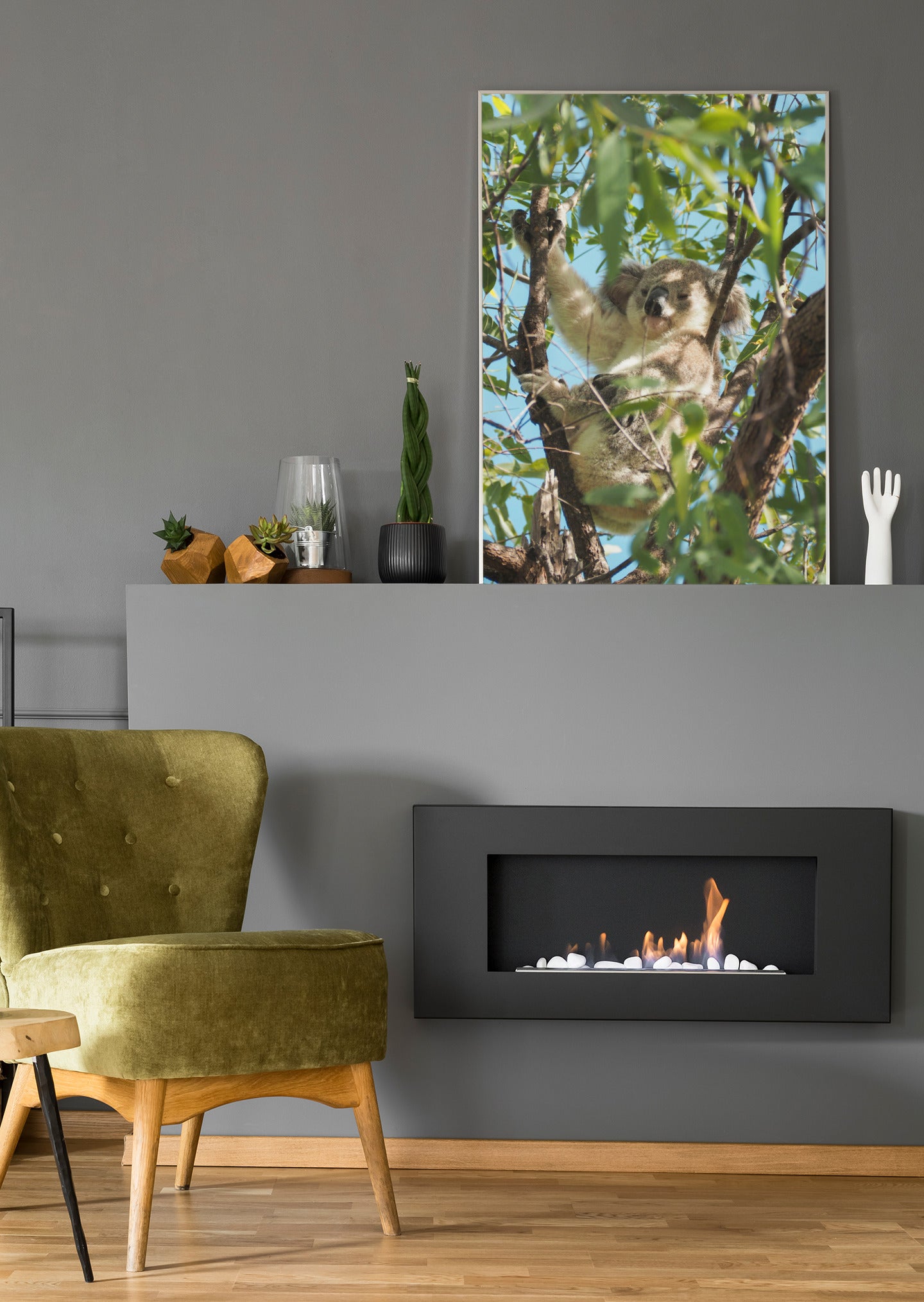 Koala im Baum - Poster oder Leinwand