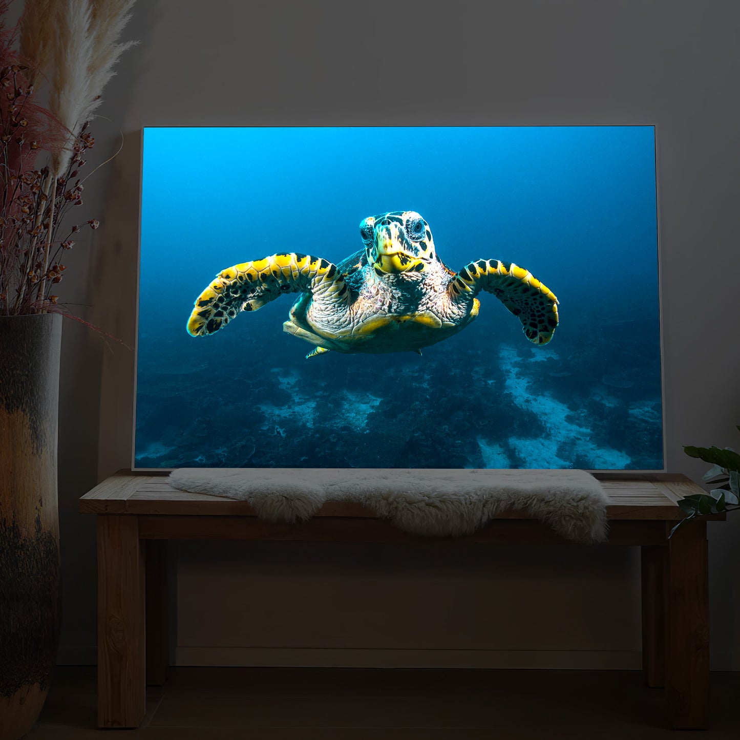Schildkröte am Riff