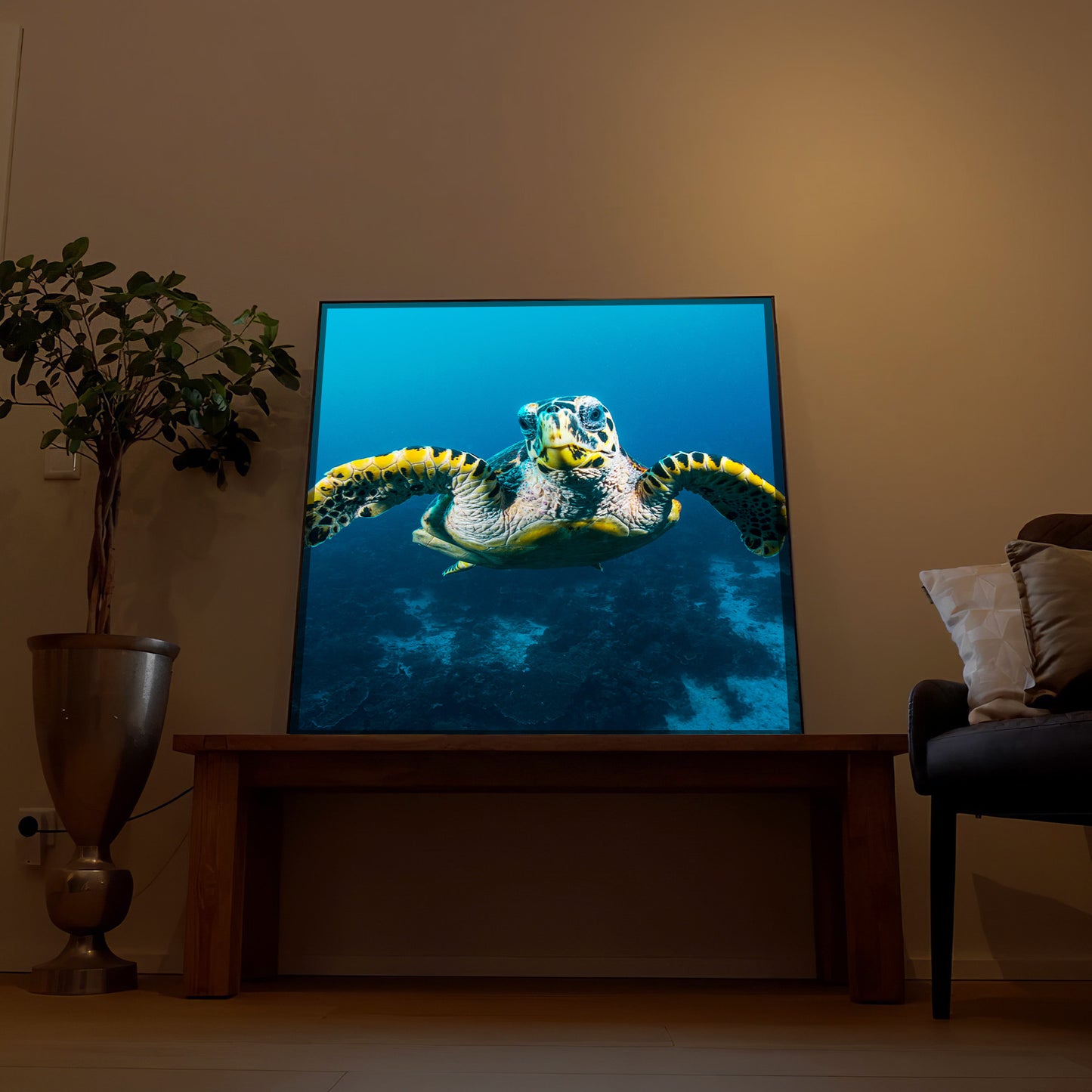 Schildkröte am Riff