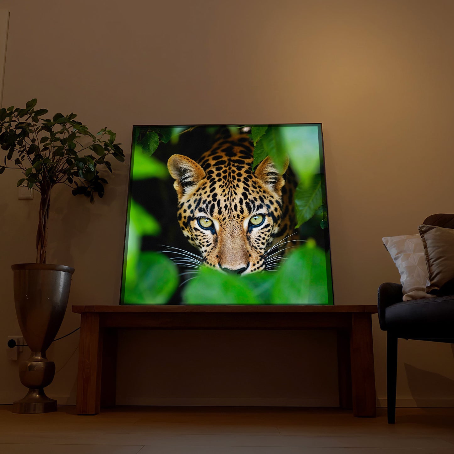 Leopard Nahaufnahme