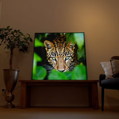 Leopard Nahaufnahme