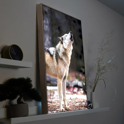 Heulender Wolf