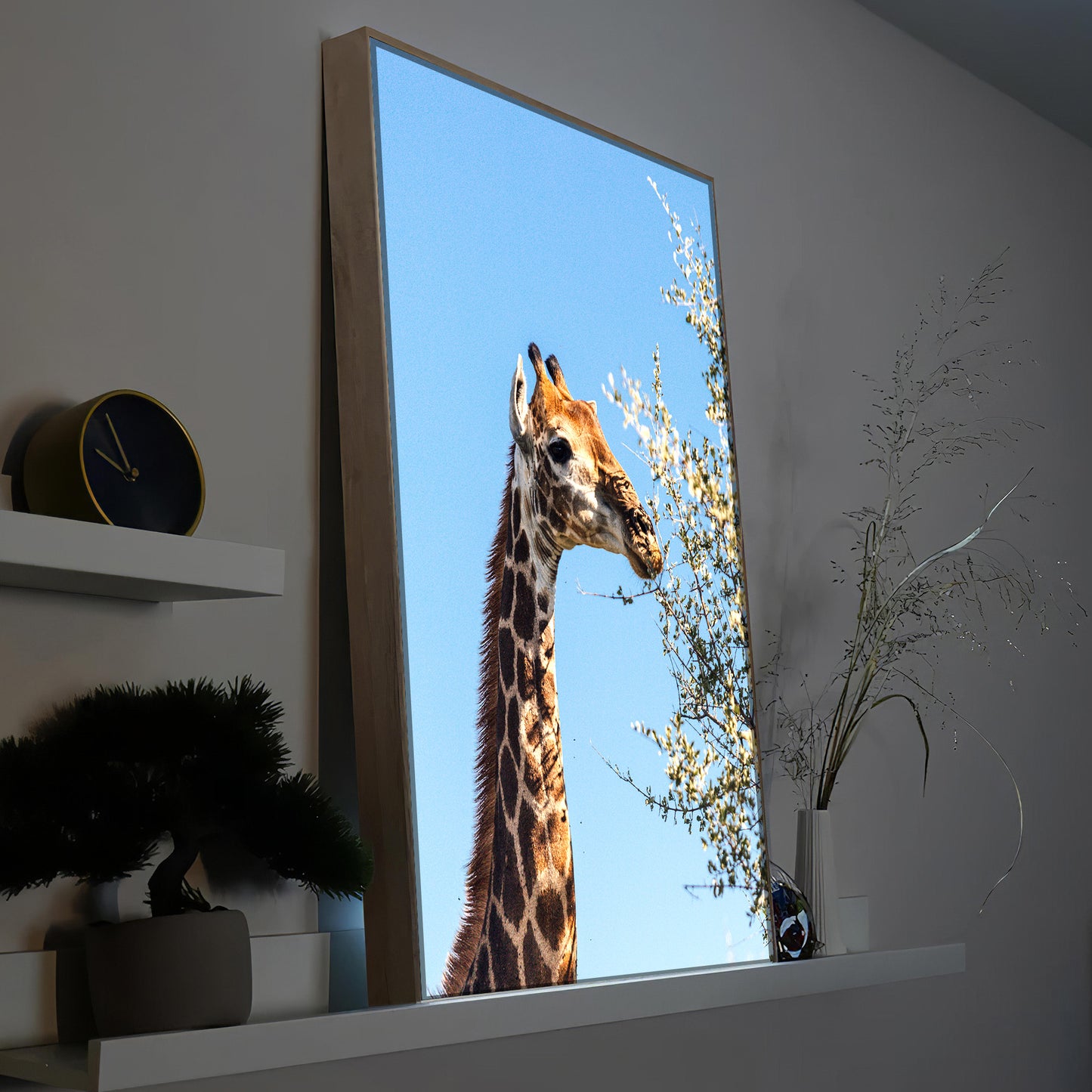 Giraffe frisst Blätter