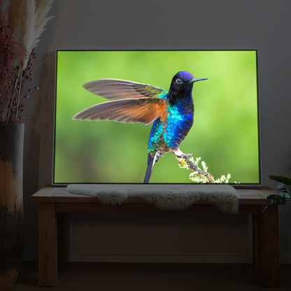 Bunter Vogel auf Ast