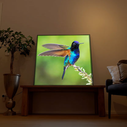 Bunter Vogel auf Ast