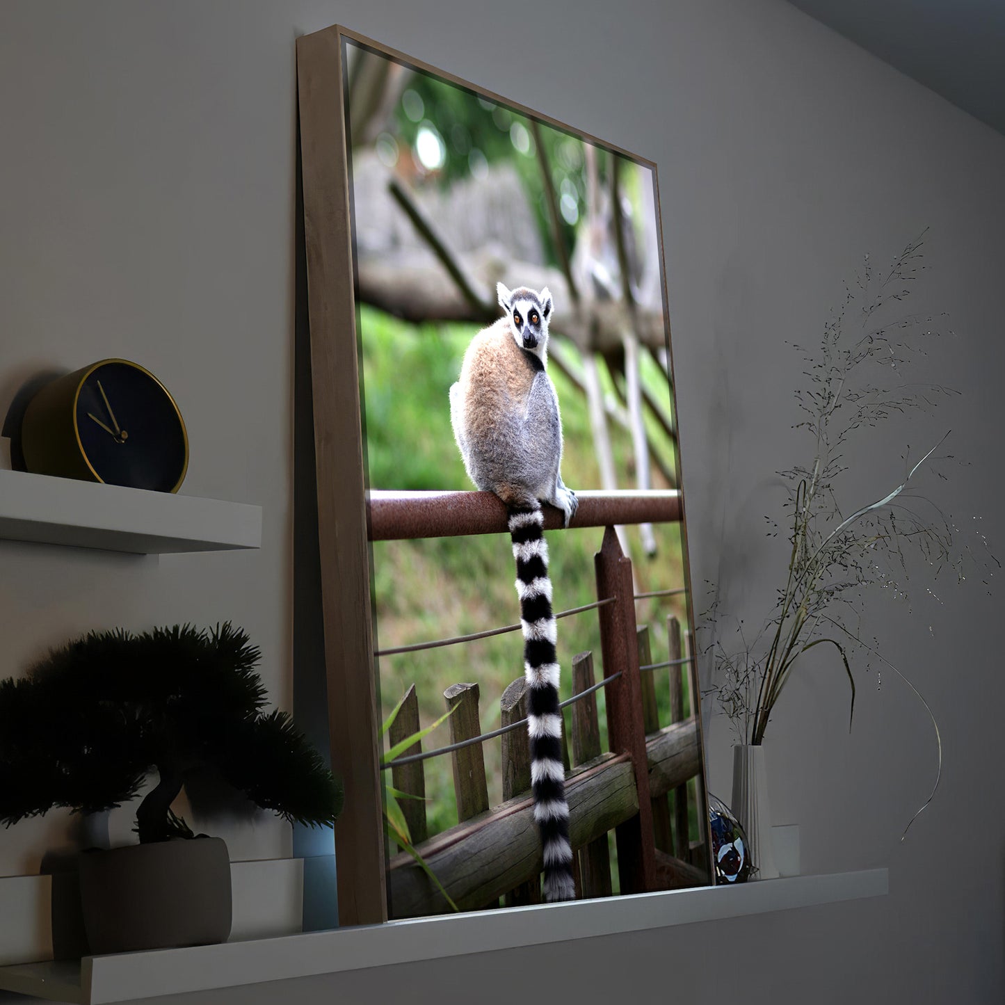 Lemur auf einem Zaun