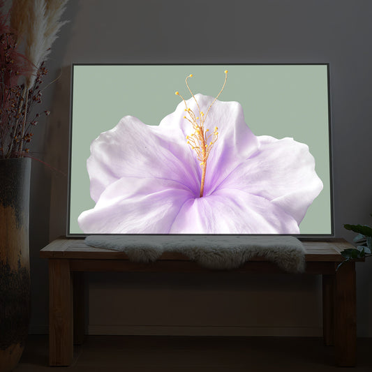 lilafarbene Blüte