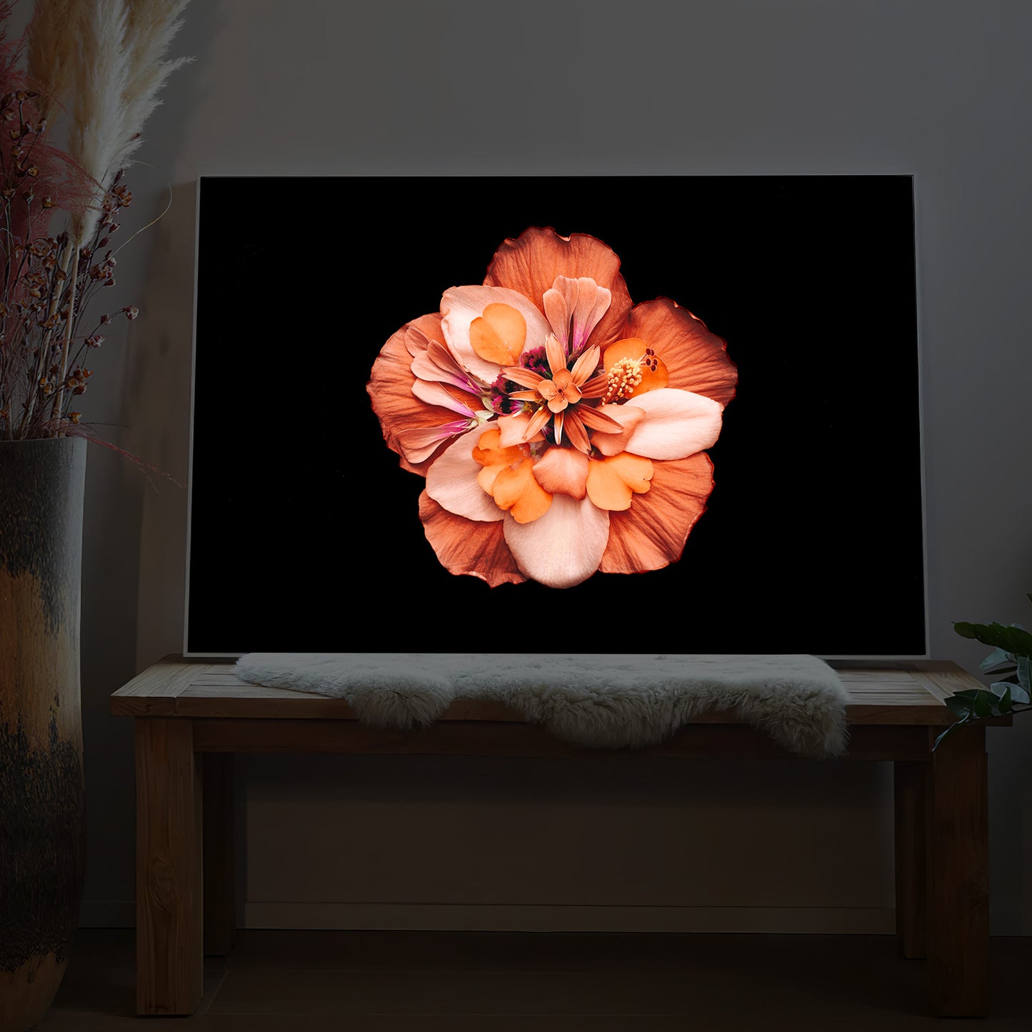 Bunte Blüte - schwarzer Hintergrund