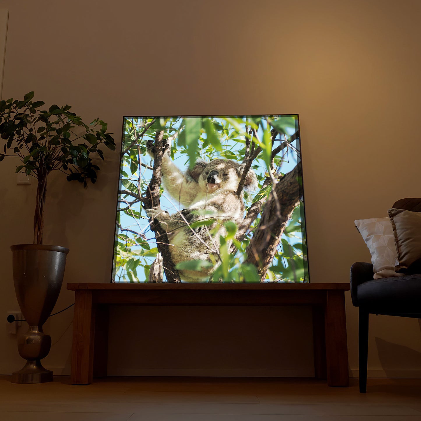 Koala im Baum