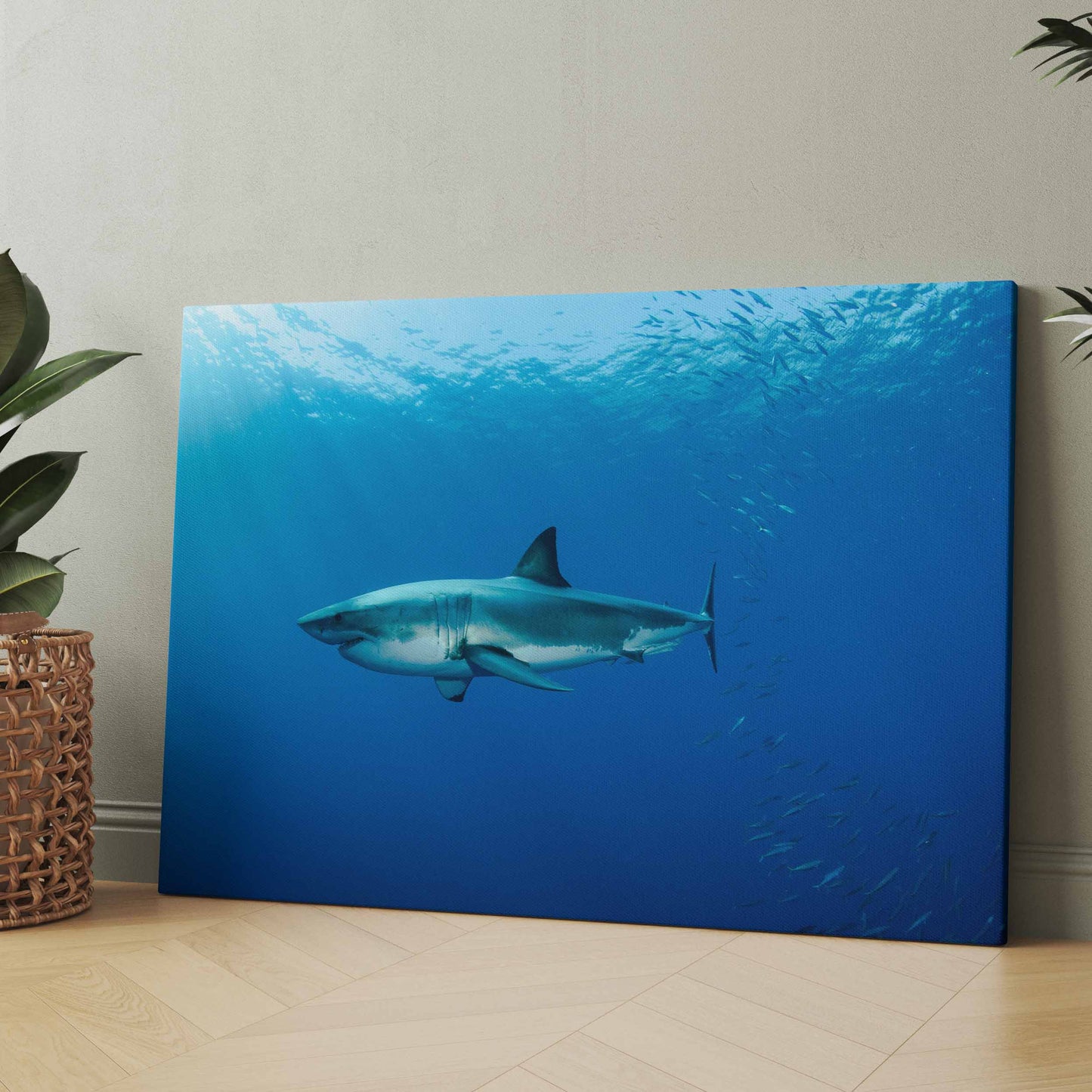 Weißer Hai im Atlantik - Great White - Poster oder Leinwand