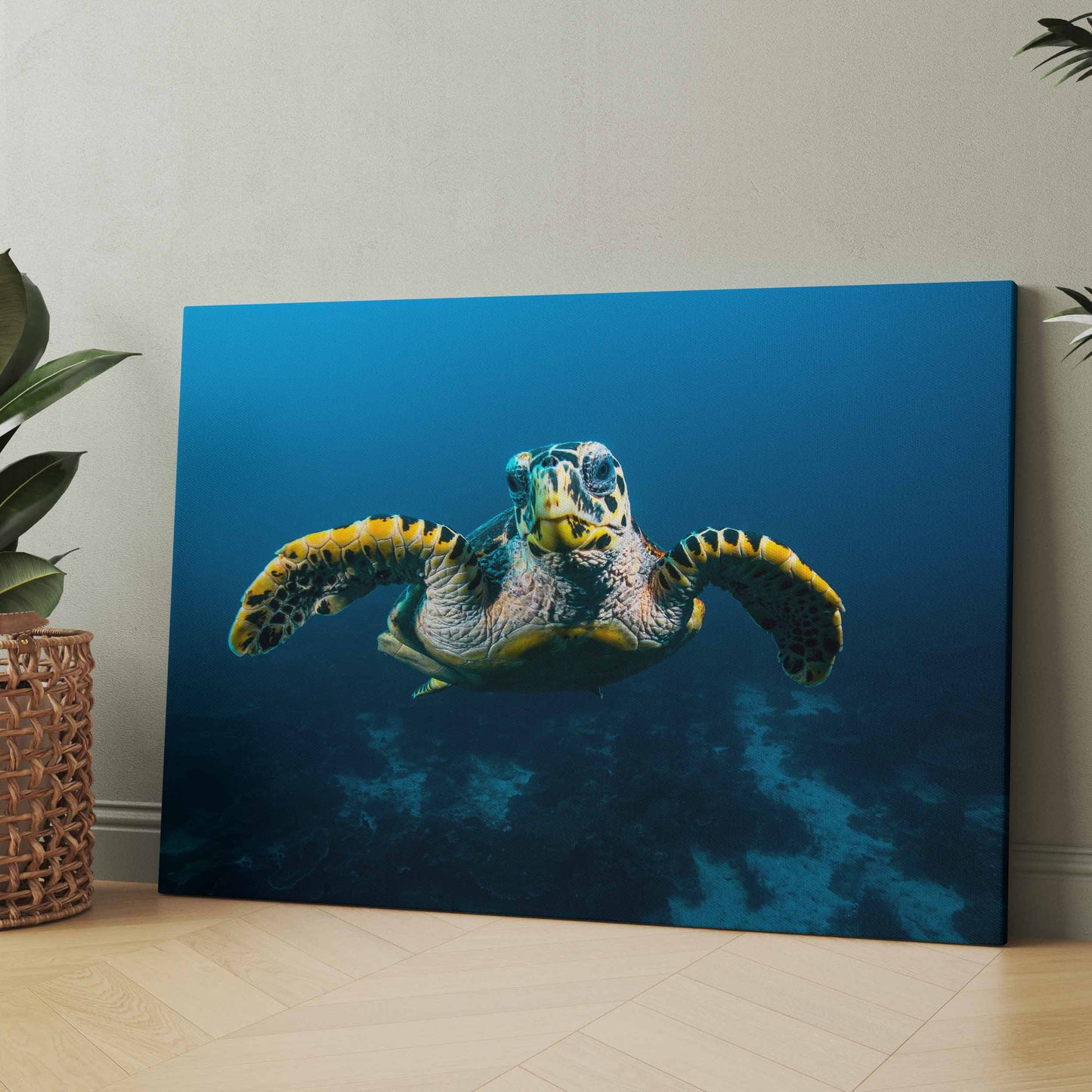 Schildkröte am Riff - Poster oder Leinwand
