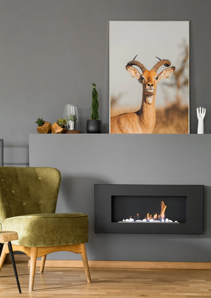 Hirsch mit Geweih - Poster oder Leinwand
