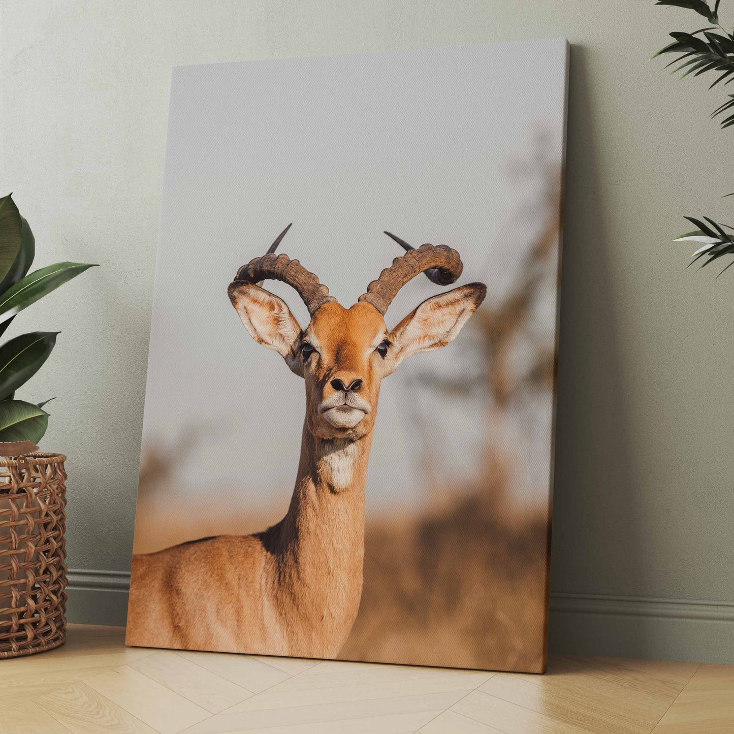 Hirsch mit Geweih - Poster oder Leinwand