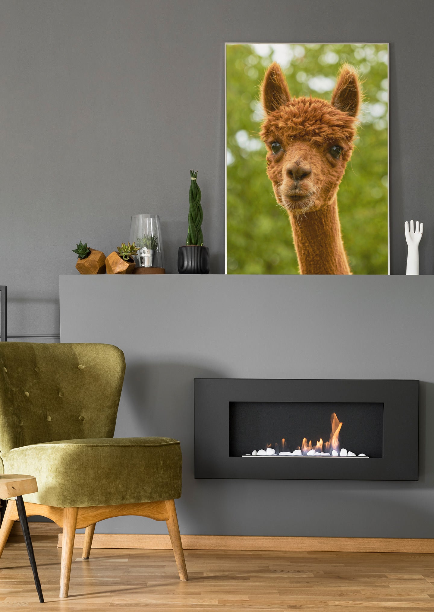 Alpaka - Poster oder Leinwand