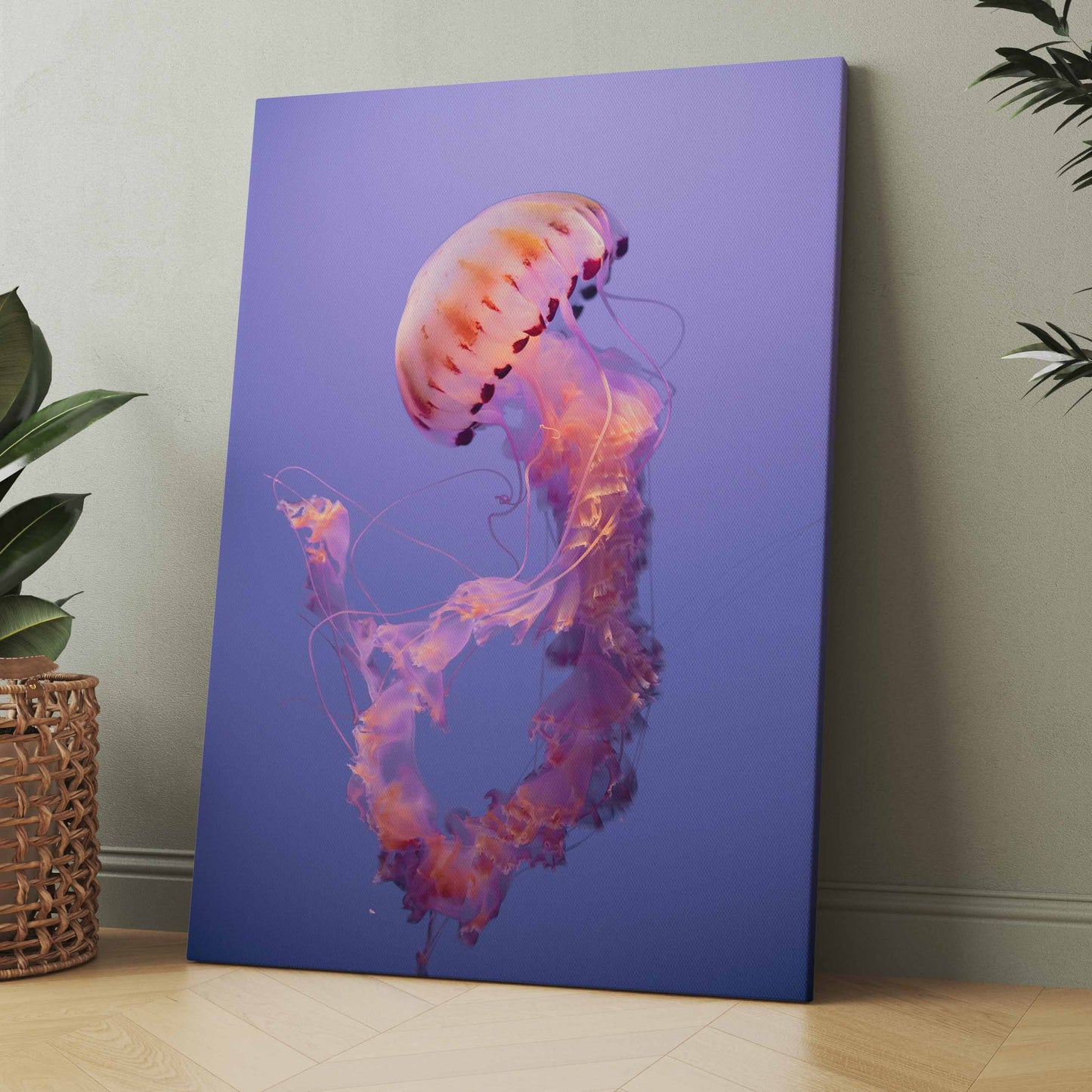 Qualle - Poster oder Leinwand