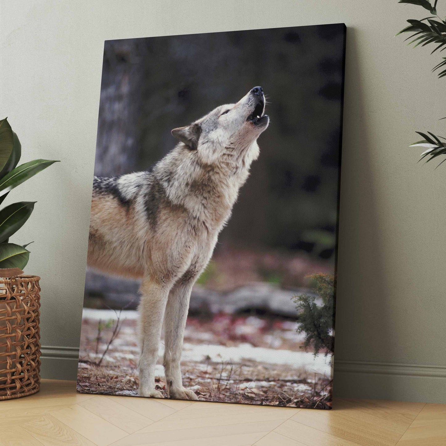 Heulender Wolf - Poster oder Leinwand