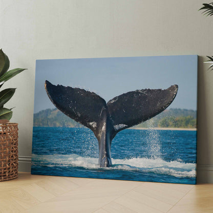 Flosse eines Buckelwals - Poster oder Leinwand
