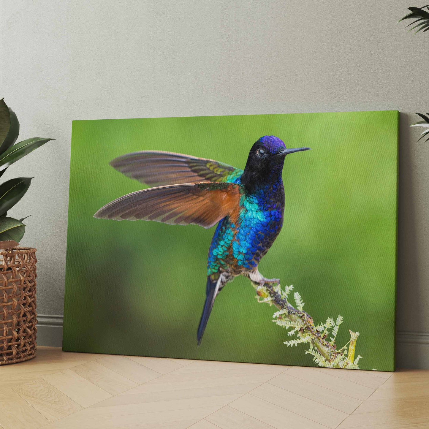 Bunter Vogel auf Ast - Poster oder Leinwand