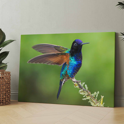 Bunter Vogel auf Ast - Poster oder Leinwand