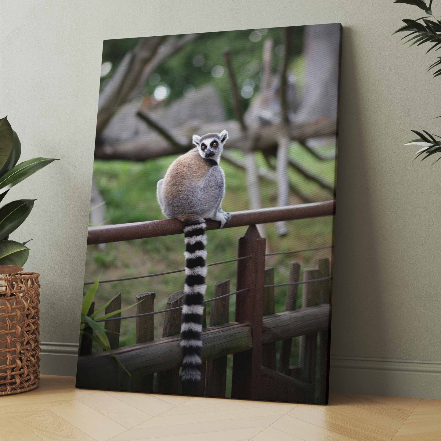 Lemur auf einem Zaun - Poster oder Leinwand