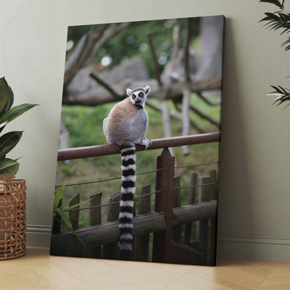 Lemur auf einem Zaun - Poster oder Leinwand