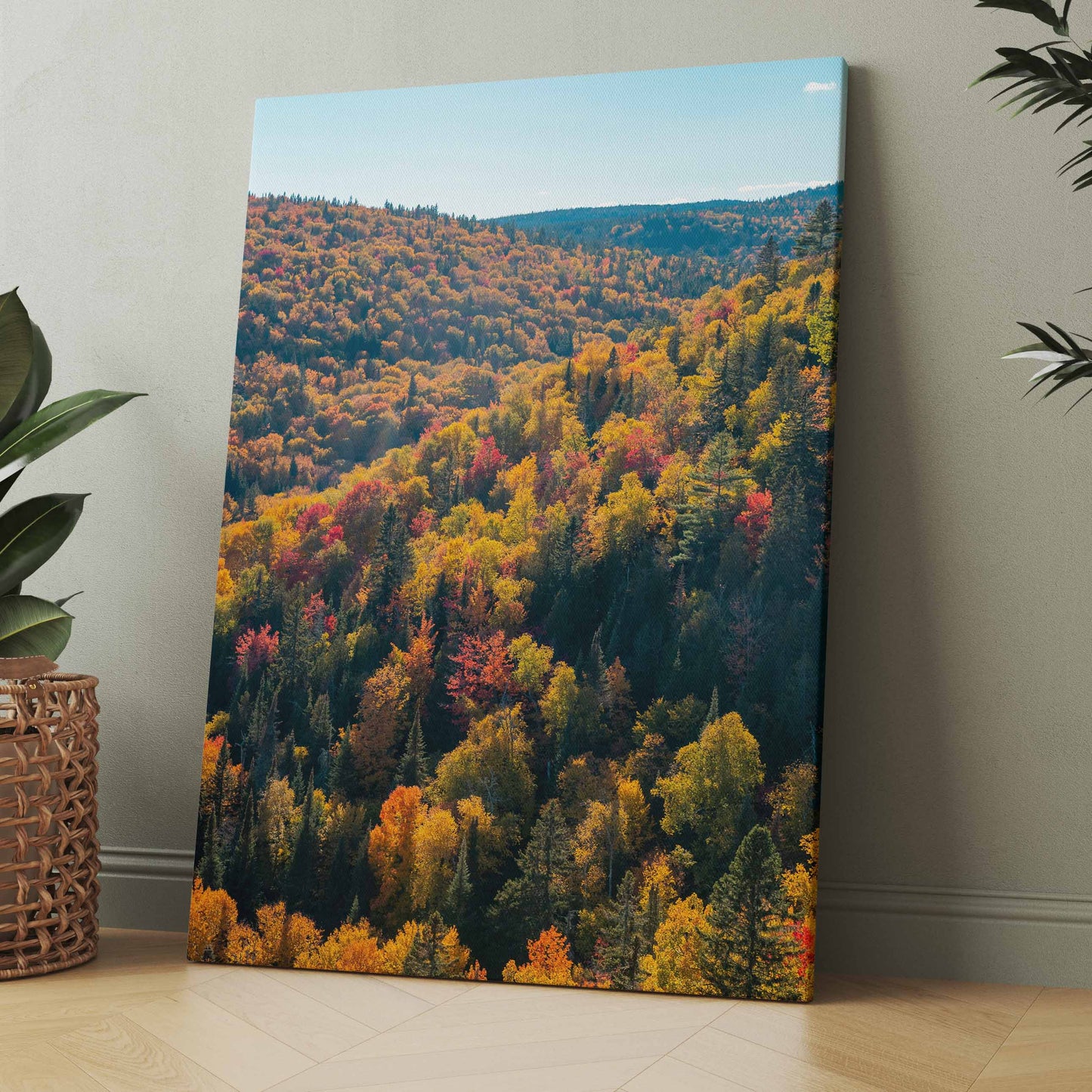 Herbstwald - Poster oder Leinwand