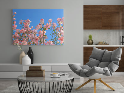 rosa blühender Baum - Poster oder Leinwand