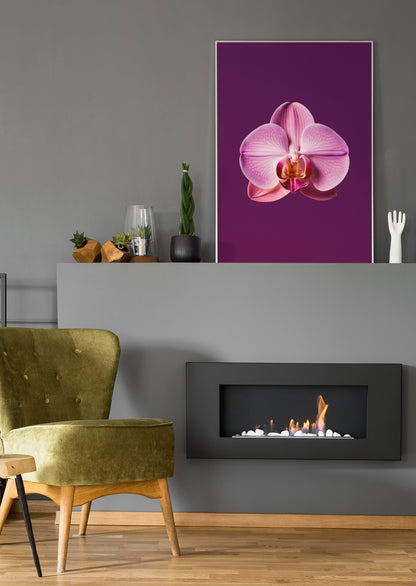 rosa Orchideenblüte - Poster oder Leinwand