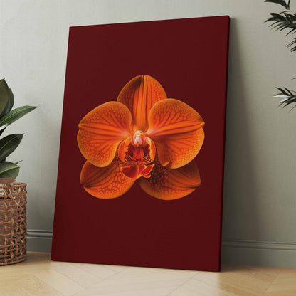 orangene Orchideenblüte - Poster oder Leinwand