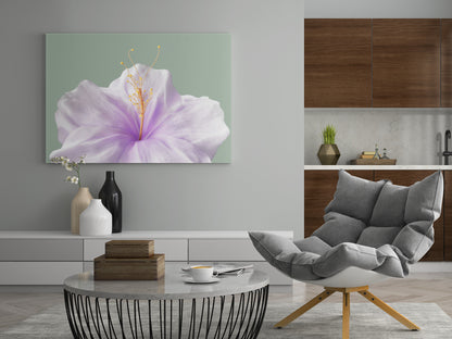 lilafarbene Blüte - Poster oder Leinwand