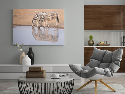 trinkende Zebras - Poster oder Leinwand