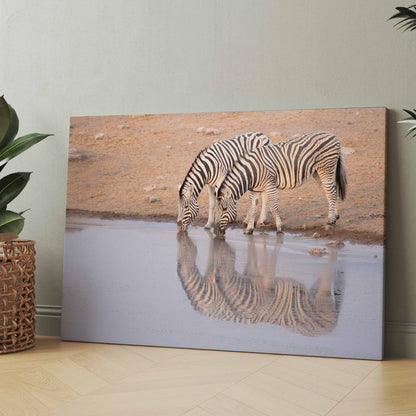 trinkende Zebras - Poster oder Leinwand