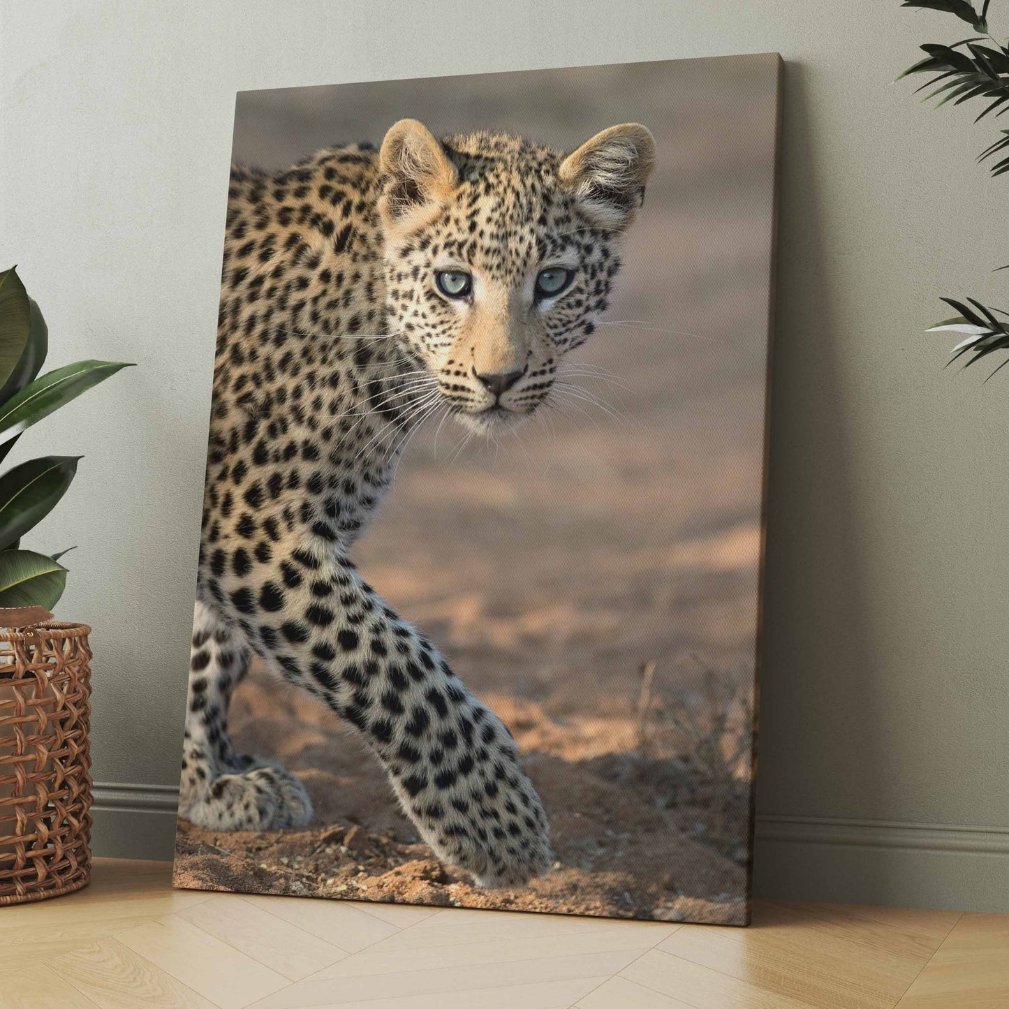 junger Leopard - Poster oder Leinwand